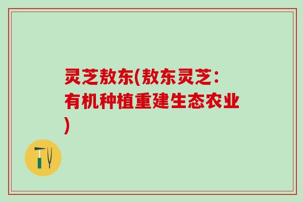 灵芝敖东(敖东灵芝：有机种植重建生态农业)