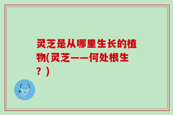 灵芝是从哪里生长的植物(灵芝——何处根生？)