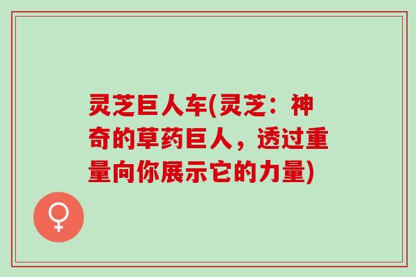 灵芝巨人车(灵芝：神奇的草药巨人，透过重量向你展示它的力量)