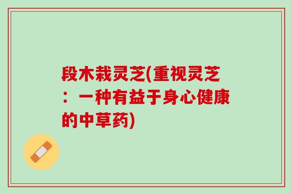 段木栽灵芝(重视灵芝：一种有益于身心健康的中草药)