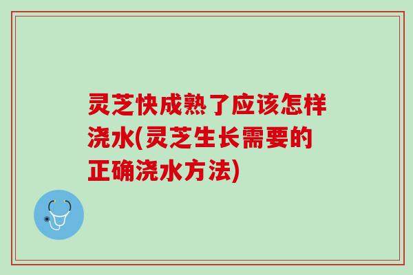 灵芝快成熟了应该怎样浇水(灵芝生长需要的正确浇水方法)