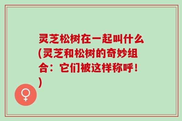 灵芝松树在一起叫什么(灵芝和松树的奇妙组合：它们被这样称呼！)