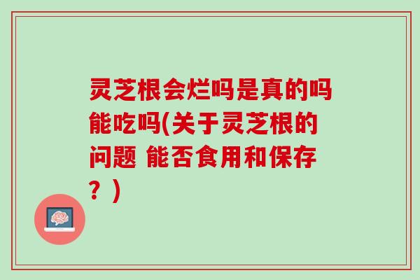 灵芝根会烂吗是真的吗能吃吗(关于灵芝根的问题 能否食用和保存？)