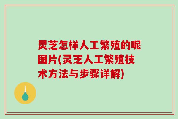 灵芝怎样人工繁殖的呢图片(灵芝人工繁殖技术方法与步骤详解)