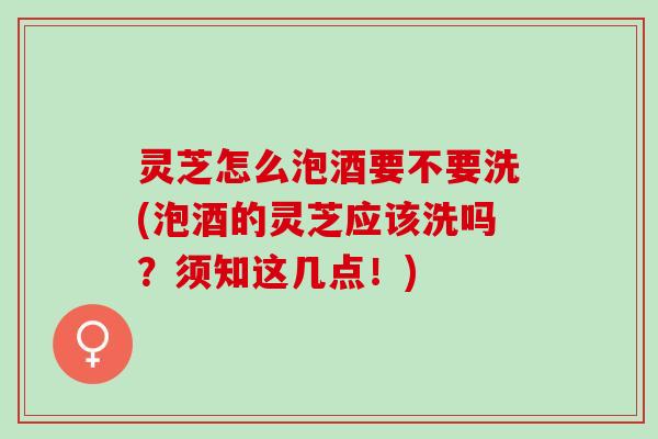 灵芝怎么泡酒要不要洗(泡酒的灵芝应该洗吗？须知这几点！)