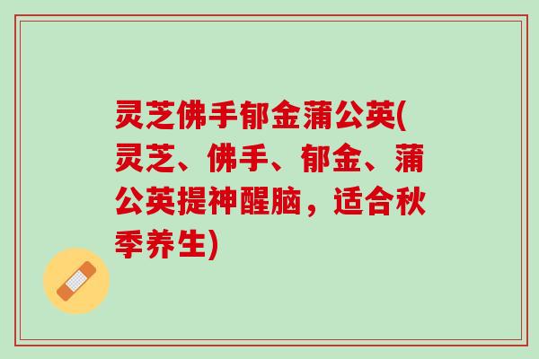 灵芝佛手郁金蒲公英(灵芝、佛手、郁金、蒲公英提神醒脑，适合秋季养生)
