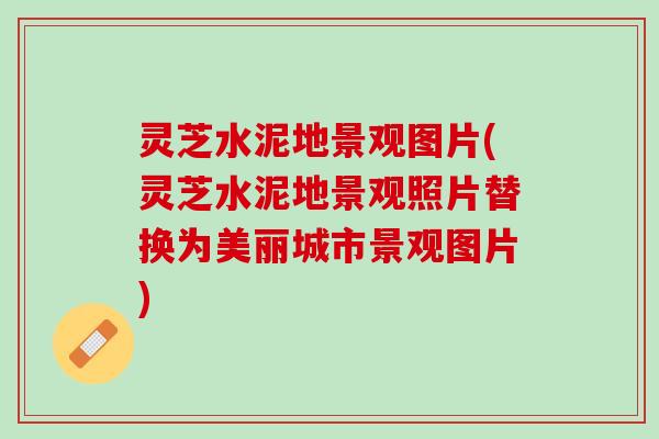 灵芝水泥地景观图片(灵芝水泥地景观照片替换为美丽城市景观图片)