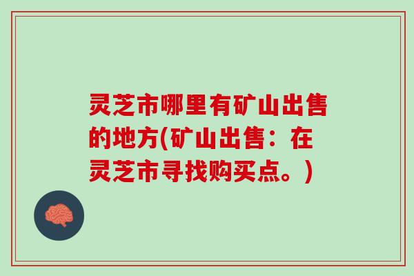 灵芝市哪里有矿山出售的地方(矿山出售：在灵芝市寻找购买点。)