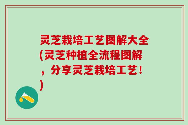 灵芝栽培工艺图解大全(灵芝种植全流程图解,分享灵芝栽培工艺!) 灵芝栽培工艺图解大全(灵芝种植全流程图解,分享灵芝栽培工艺!)