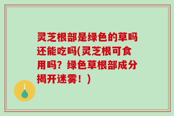 灵芝根部是绿色的草吗还能吃吗(灵芝根可食用吗?绿色草根部成分揭开迷雾!) 灵芝根部是绿色的草吗还能吃吗(灵芝根可食用吗?绿色草根部成分揭开迷雾!)