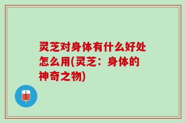 灵芝对身体有什么好处怎么用(灵芝：身体的神奇之物)