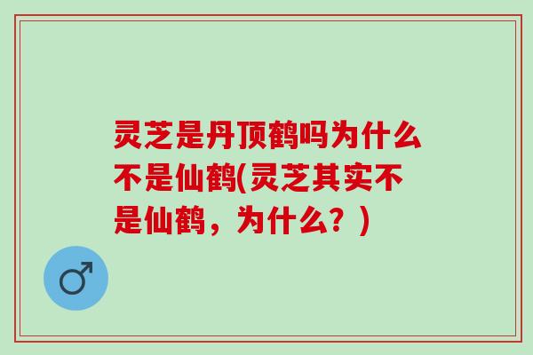 灵芝是丹顶鹤吗为什么不是仙鹤(灵芝其实不是仙鹤，为什么？)