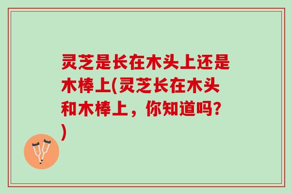 灵芝是长在木头上还是木棒上(灵芝长在木头和木棒上，你知道吗？)