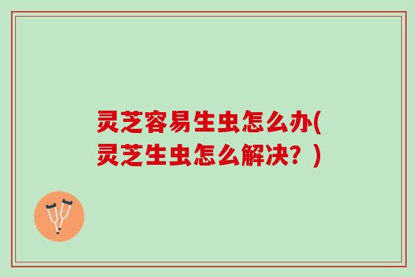 灵芝容易生虫怎么办(灵芝生虫怎么解决？)