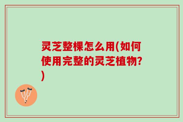 灵芝整棵怎么用(如何使用完整的灵芝植物？)