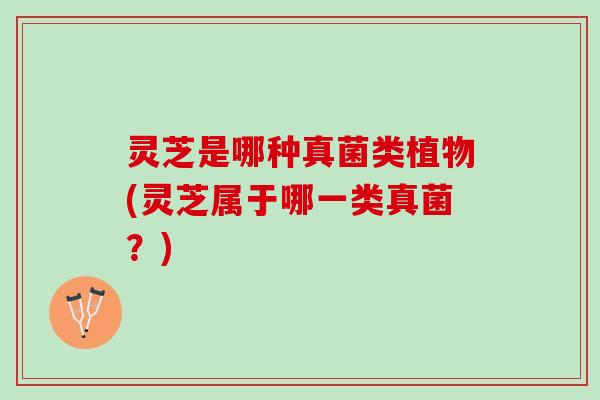 灵芝是哪种真菌类植物(灵芝属于哪一类真菌？)