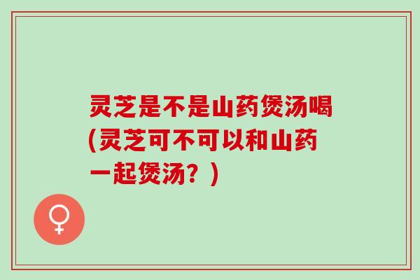 灵芝是不是山药煲汤喝(灵芝可不可以和山药一起煲汤？)