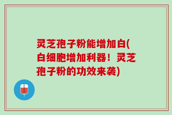 灵芝孢子粉能增加白(增加利器!灵芝孢子粉的功效来袭) 灵芝孢子粉能增加白(增加利器!灵芝孢子粉的功效来袭)
