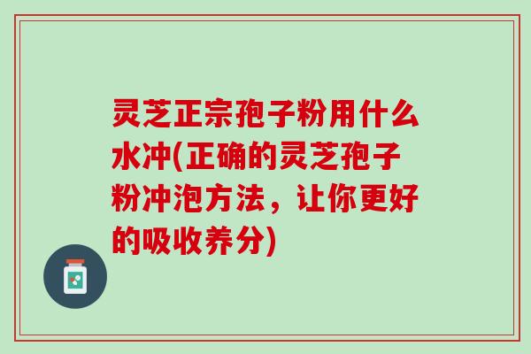 灵芝正宗孢子粉用什么水冲(正确的灵芝孢子粉冲泡方法,让你更好的吸收养分) 灵芝正宗孢子粉用什么水冲(正确的灵芝孢子粉冲泡方法,让你更好的吸收养分)