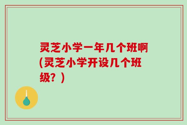 灵芝小学一年几个班啊(灵芝小学开设几个班级？)