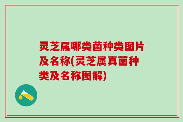 灵芝属哪类菌种类图片及名称(灵芝属真菌种类及名称图解)
