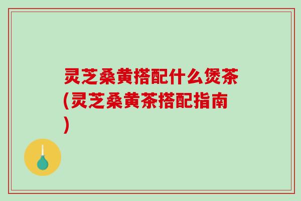 灵芝桑黄搭配什么煲茶(灵芝桑黄茶搭配指南)