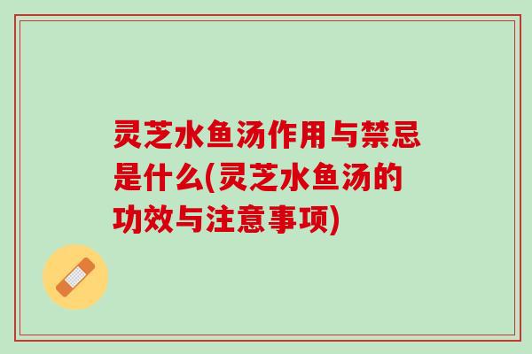 灵芝水鱼汤作用与禁忌是什么(灵芝水鱼汤的功效与注意事项)
