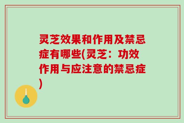 灵芝效果和作用及禁忌症有哪些(灵芝：功效作用与应注意的禁忌症)