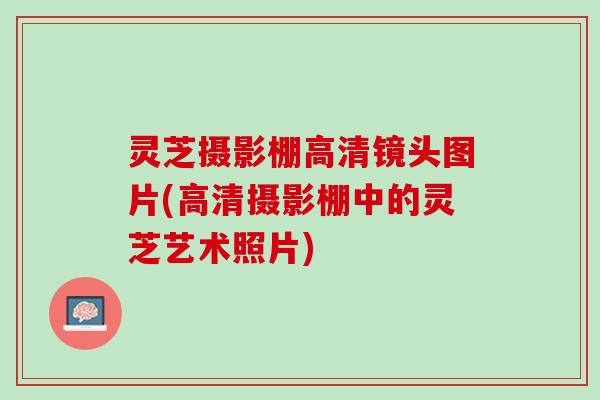 灵芝摄影棚高清镜头图片(高清摄影棚中的灵芝艺术照片)