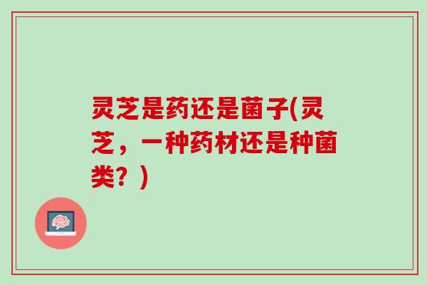 灵芝是药还是菌子(灵芝，一种药材还是种菌类？)