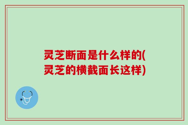 灵芝断面是什么样的(灵芝的横截面长这样)