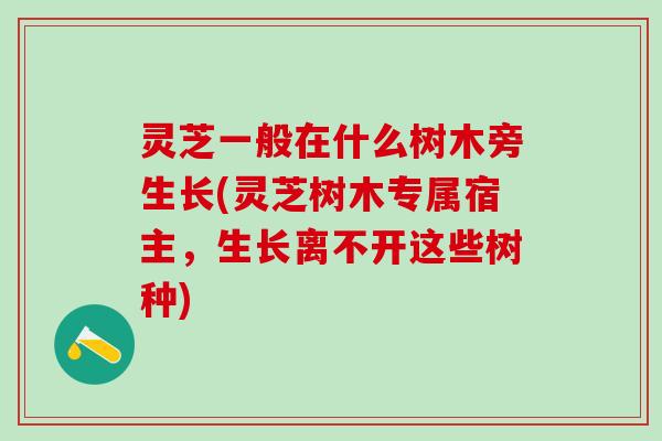 灵芝一般在什么树木旁生长(灵芝树木专属宿主，生长离不开这些树种)
