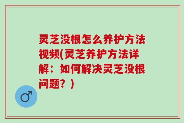 灵芝没根怎么养护方法视频(灵芝养护方法详解：如何解决灵芝没根问题？)