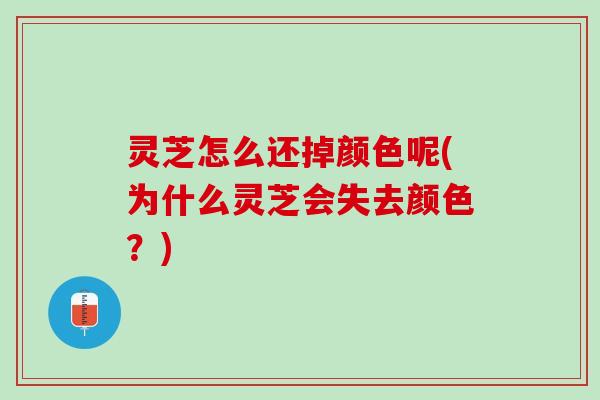 灵芝怎么还掉颜色呢(为什么灵芝会失去颜色？)