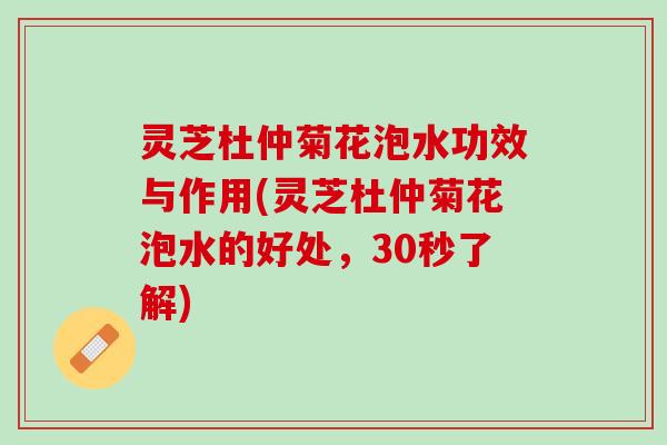 灵芝杜仲菊花泡水功效与作用(灵芝杜仲菊花泡水的好处，30秒了解)