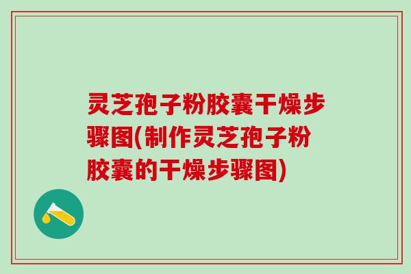 灵芝孢子粉胶囊干燥步骤图(制作灵芝孢子粉胶囊的干燥步骤图)