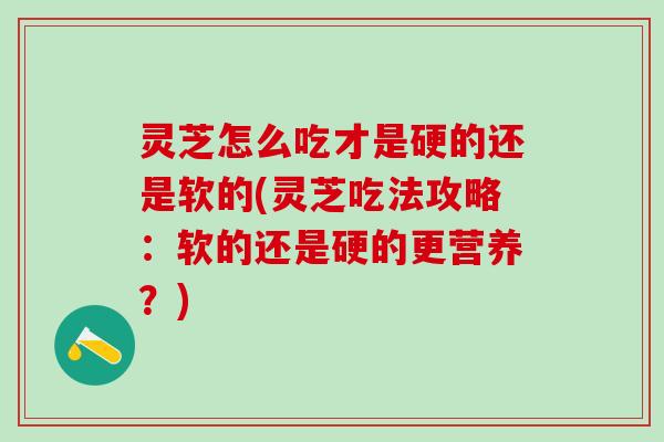 灵芝怎么吃才是硬的还是软的(灵芝吃法攻略：软的还是硬的更营养？)