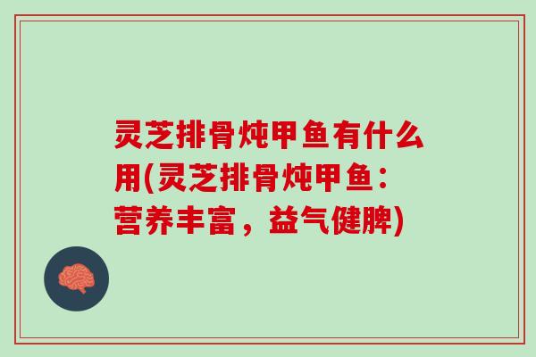 灵芝排骨炖甲鱼有什么用(灵芝排骨炖甲鱼：营养丰富，益气健脾)