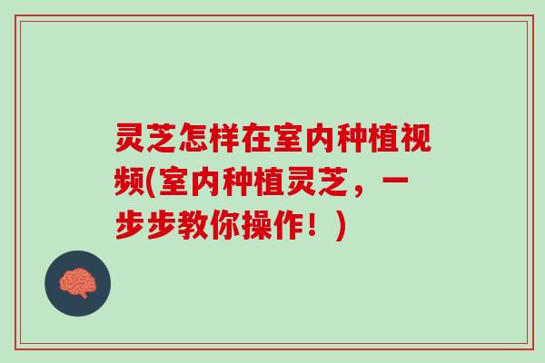 灵芝怎样在室内种植视频(室内种植灵芝，一步步教你操作！)