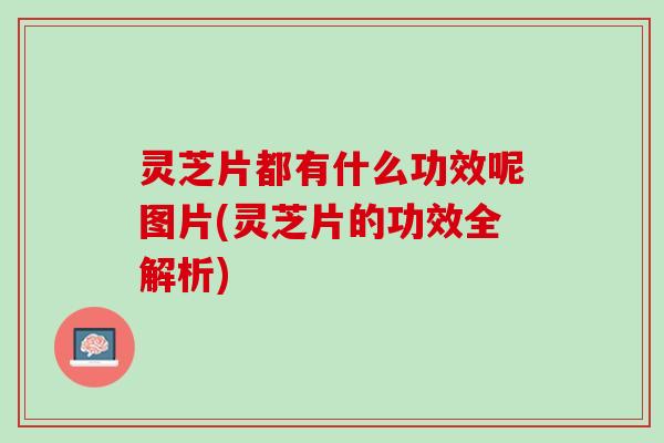 灵芝片都有什么功效呢图片(灵芝片的功效全解析)