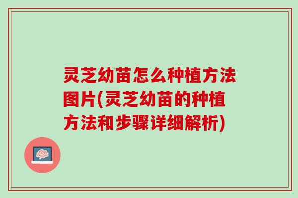 灵芝幼苗怎么种植方法图片(灵芝幼苗的种植方法和步骤详细解析)