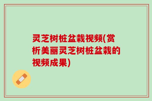 灵芝树桩盆栽视频(赏析美丽灵芝树桩盆栽的视频成果)