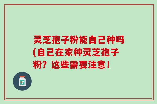 灵芝孢子粉能自己种吗(自己在家种灵芝孢子粉？这些需要注意！