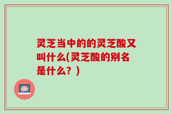 灵芝当中的的灵芝酸又叫什么(灵芝酸的别名是什么？)