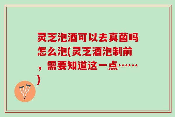 灵芝泡酒可以去真菌吗怎么泡(灵芝酒泡制前，需要知道这一点……)
