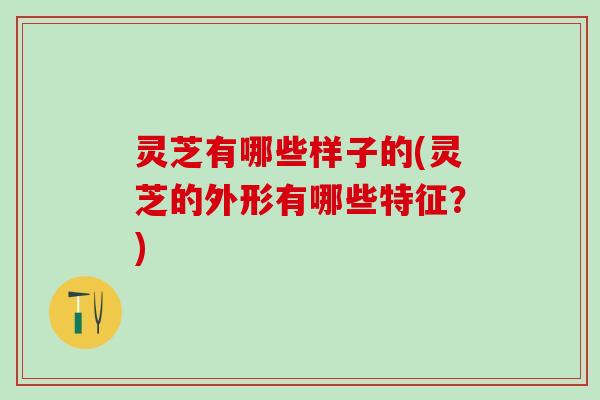 灵芝有哪些样子的(灵芝的外形有哪些特征？)