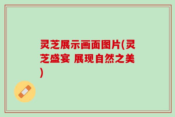 灵芝展示画面图片(灵芝盛宴 展现自然之美)