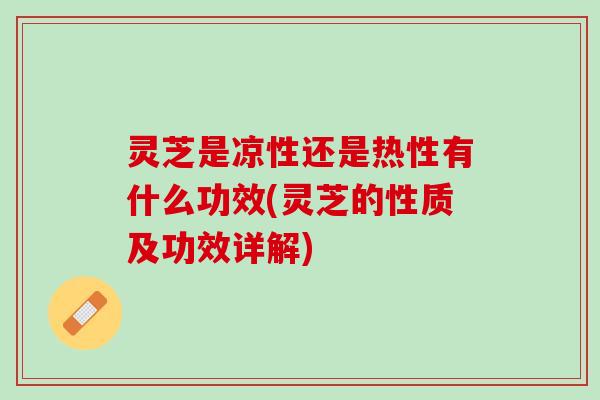 灵芝是凉性还是热性有什么功效(灵芝的性质及功效详解)