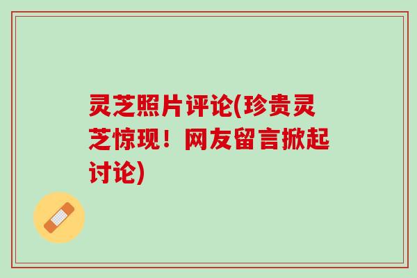 灵芝照片评论(珍贵灵芝惊现！网友留言掀起讨论)