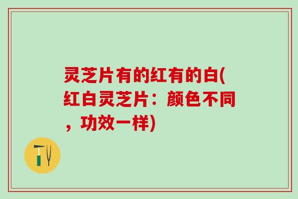 灵芝片有的红有的白(红白灵芝片：颜色不同，功效一样)